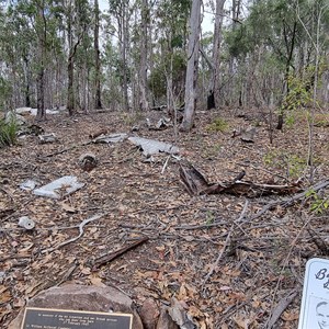 Kroombit Tops National Park