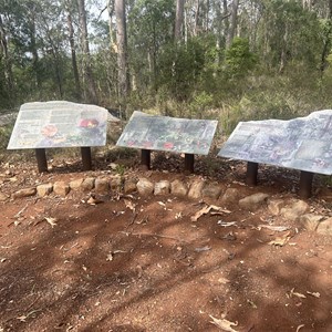 Hurdle Gully Lookout