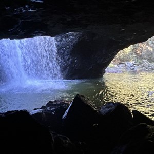 Springbrook National Park