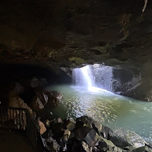Springbrook National Park
