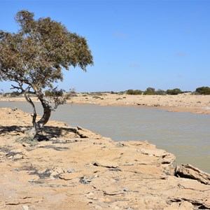 Wabma Kadarbu Mound Springs Conservation Park 