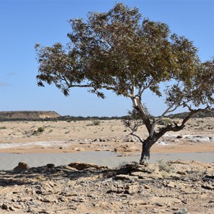 Wabma Kadarbu Mound Springs Conservation Park 