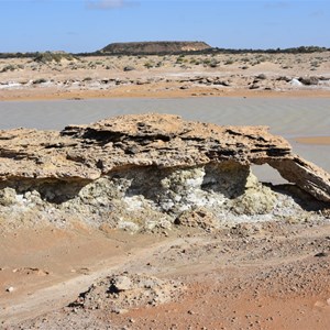 Wabma Kadarbu Mound Springs Conservation Park 