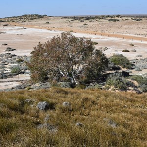 Wabma Kadarbu Mound Springs Conservation Park 