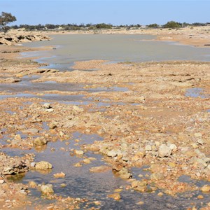 Wabma Kadarbu Mound Springs Conservation Park 