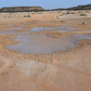 Wabma Kadarbu Mound Springs Conservation Park 