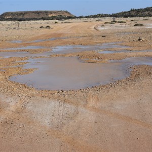 Wabma Kadarbu Mound Springs Conservation Park 