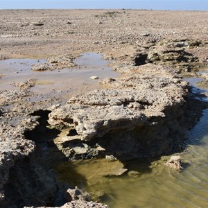 Wabma Kadarbu Mound Springs Conservation Park 