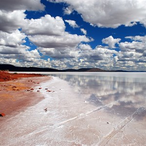 Lake Gairdner shores