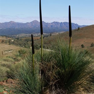 Flinders rasmparts from the east