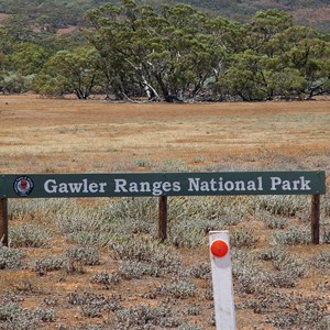 Gawler Ranges National Park