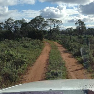 Track along fence line 