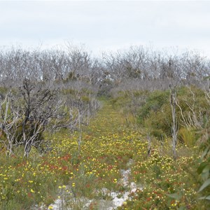 Ravine Des Casoars Wilderness Area