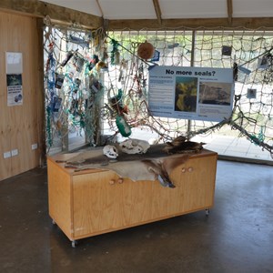 Seal Bay Conservation Park