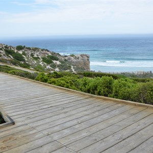 Seal Bay Conservation Park