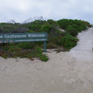 Bales Beach Aquatic Reserve 