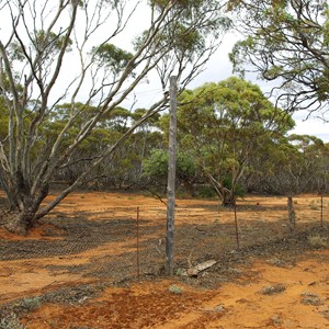 Pandappa Conservation Park