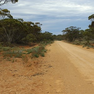 Pandappa Conservation Park