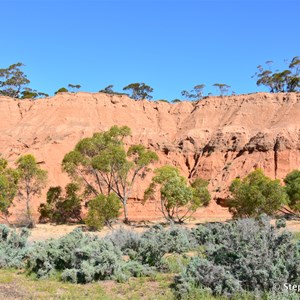 Red Banks Conservation Park 