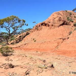 Red Banks Conservation Park 