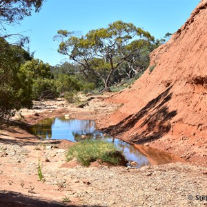 Red Banks Conservation Park 