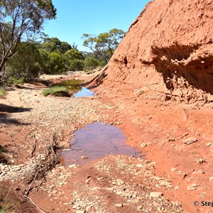 Red Banks Conservation Park 