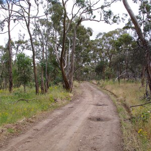 Spring Gully Conservation Park