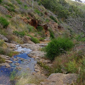 Spring Gully Conservation Park