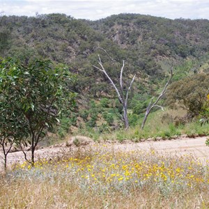 Spring Gully Conservation Park