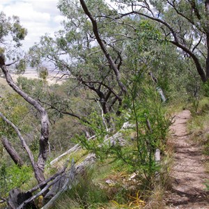 Spring Gully Conservation Park