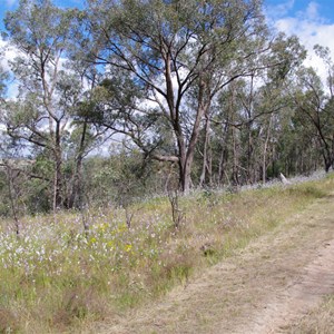 Spring Gully Conservation Park