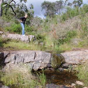 Spring Gully Conservation Park