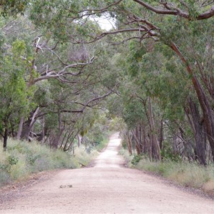 Spring Gully Conservation Park