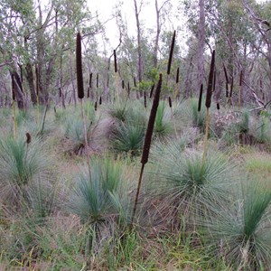 Spring Gully Conservation Park