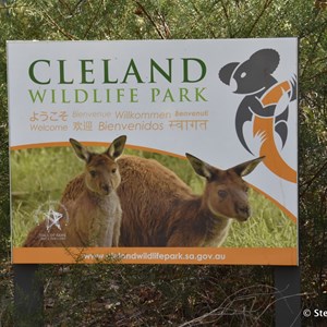 Cleland Conservation Park 