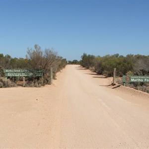 Murtho Forest Reserve