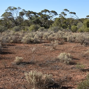 Cooltong Conservation Park