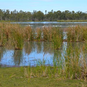 Loch Luna Game Reserve 