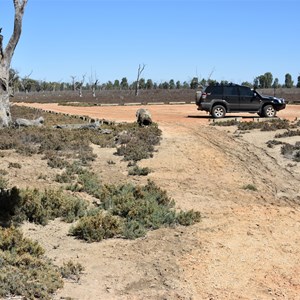 Moorook Game Reserve