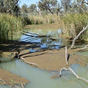 Moorook Game Reserve