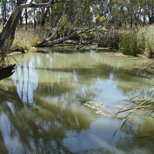 Moorook Game Reserve