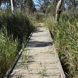 Moorook Game Reserve