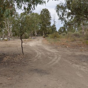 Lyrup Forest Reserve