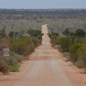 Lyrup Forest Reserve