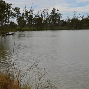 Lyrup Forest Reserve