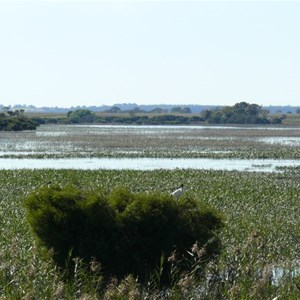 Bool Lagoon