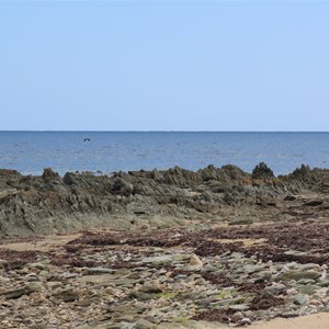 Highly tilted strata