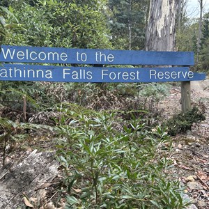 Mathinna Falls Forest Reserve