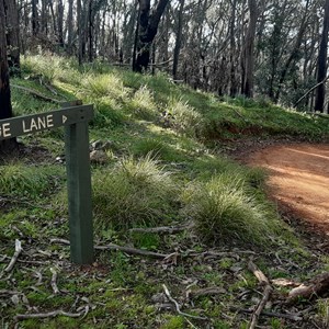 Baranduda Range Regional Park