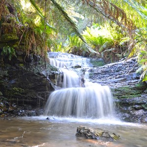 Mount Worth State Park